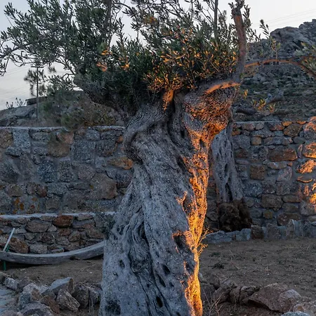 Villa Citadel Natural Stone Mykonos Town