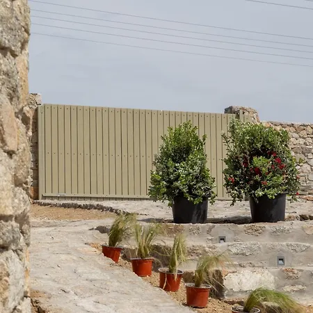 فيلة Citadel Natural Stone Plintri