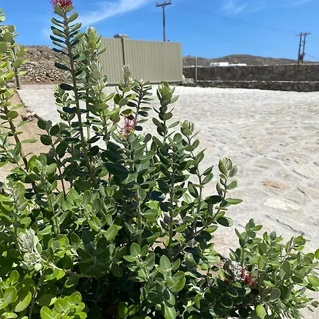 Citadel Natural Stone فيلة Plintri